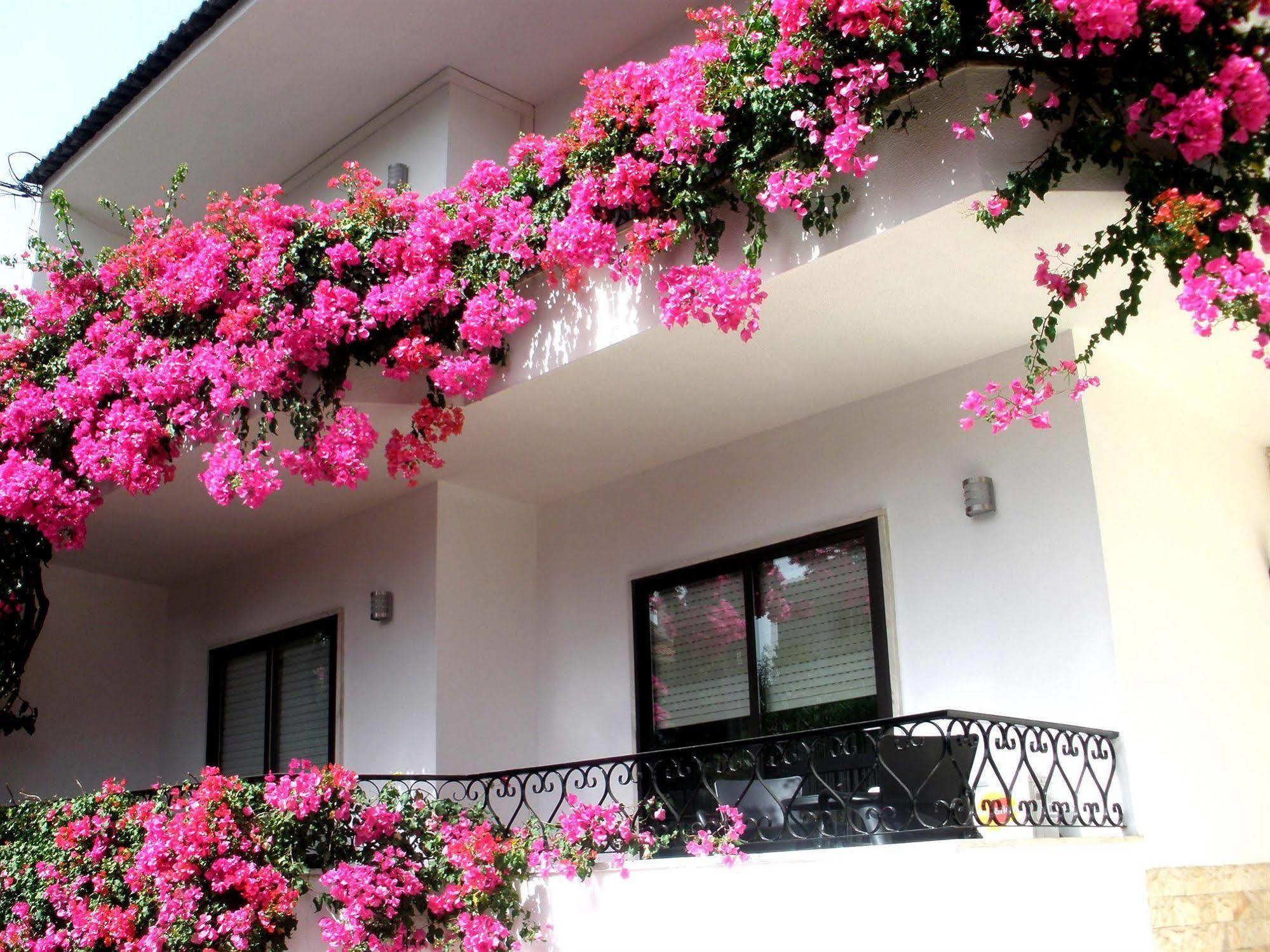 Dolce Cascais Guest House Exteriör bild